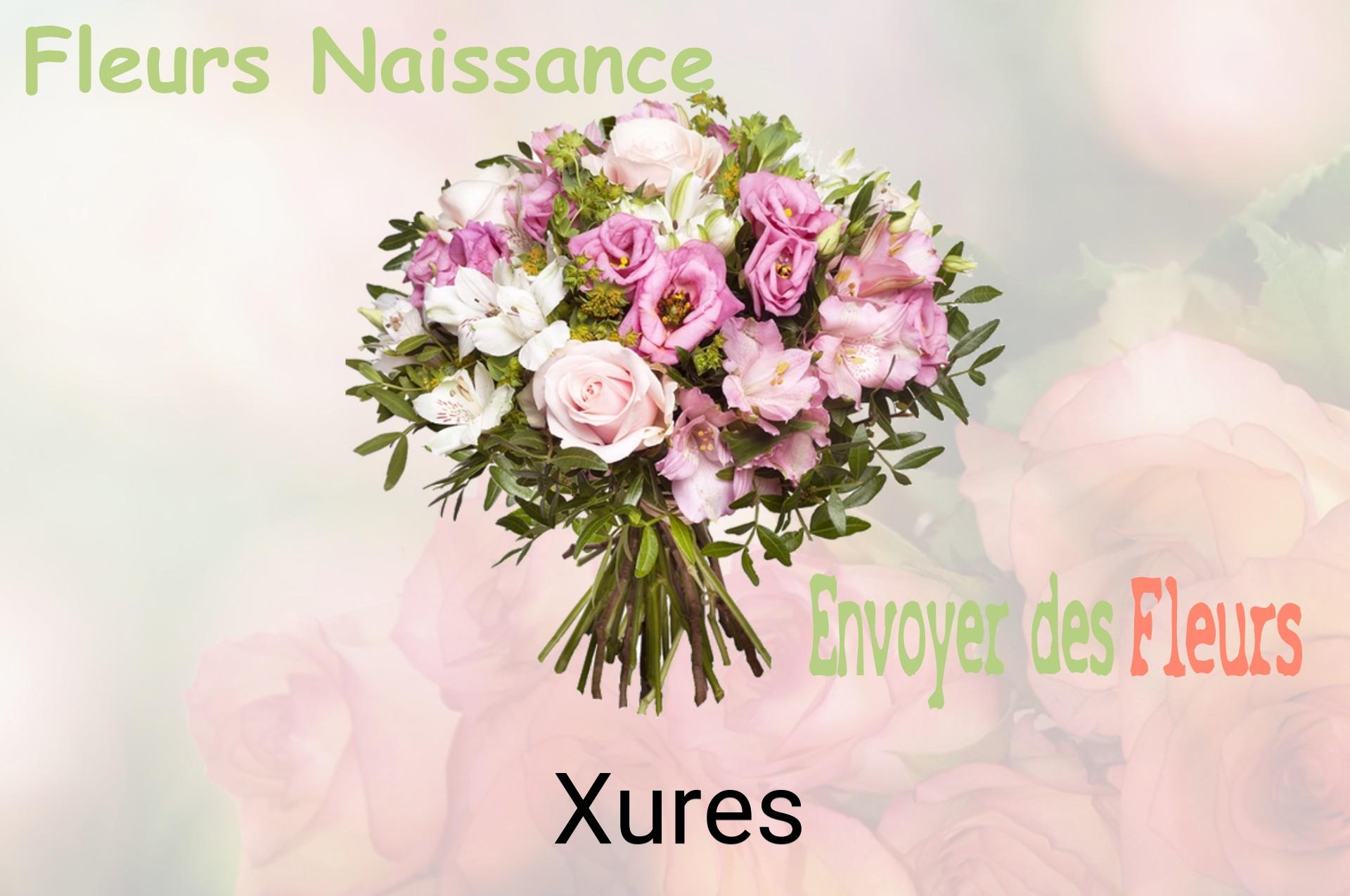 Bouquet de fleurs de naissance livré à Xures